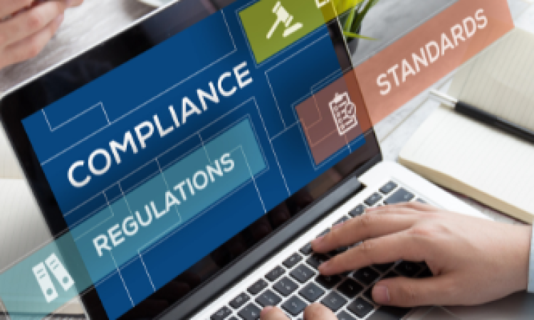 сайт на вордпресс и елементор